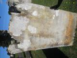 image of grave number 884015